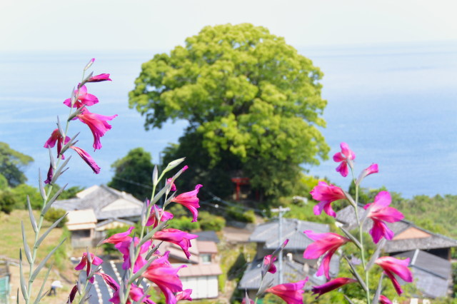 テスト画像-20150510-441