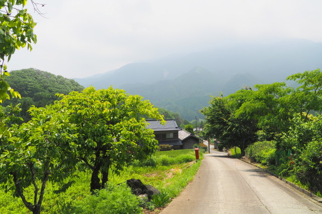 テスト画像-20180609-096