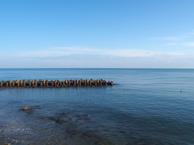 テスト画像-20250119-092818