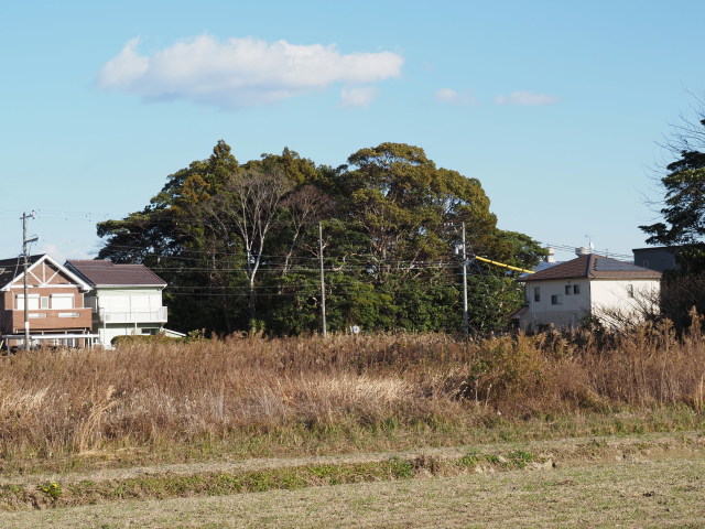 河原神社(豊受大神宮 摂社)の社叢
