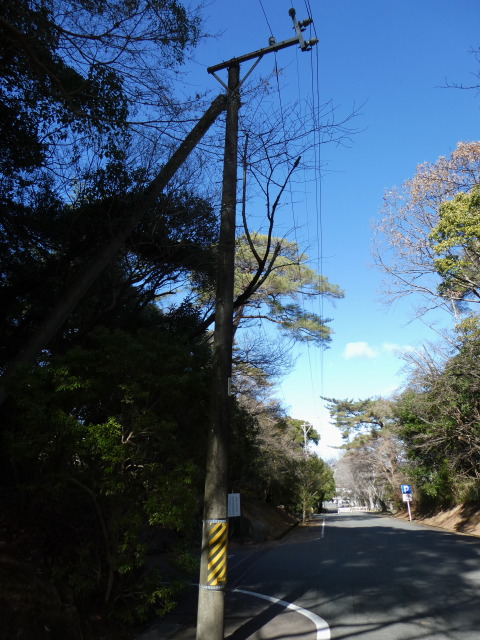 1963年生まれの電柱(倭姫宮参道にて)