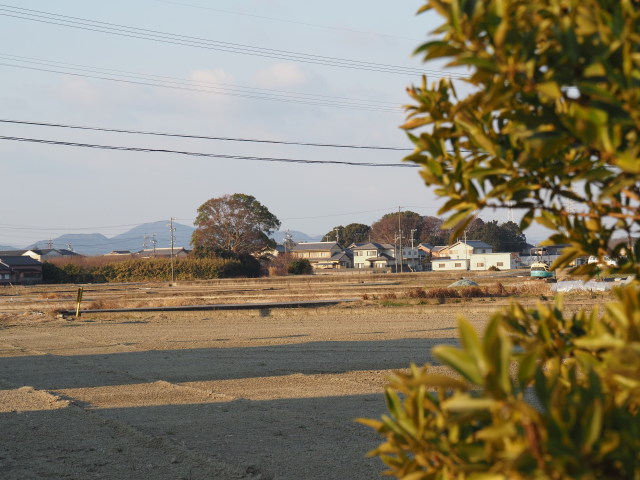 住吉稲荷大明神の遠望(伊勢市御薗町長屋にて)