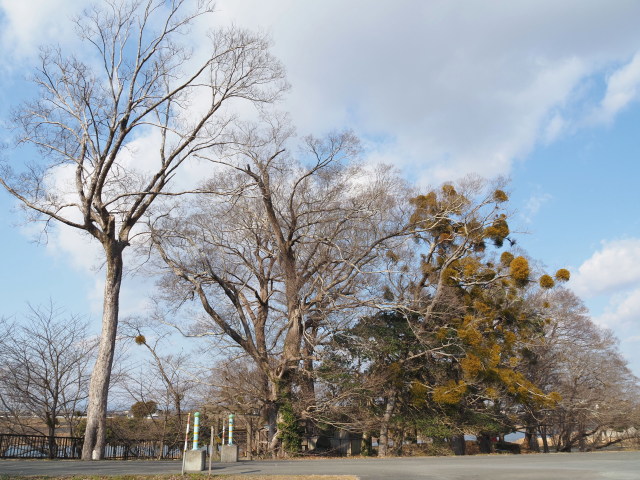 浅間堤(松井孫右衛門社付近)