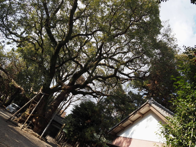 箕曲中松原神社(伊勢市岩渕)