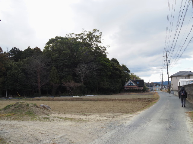 神田社の社叢(伊勢市神久)