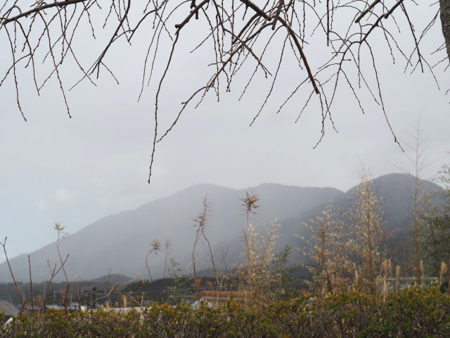 雪に煙る朝熊山の遠望