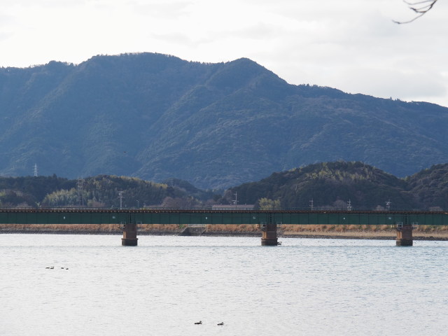 汐合橋から五十鈴川上流方向の遠望
