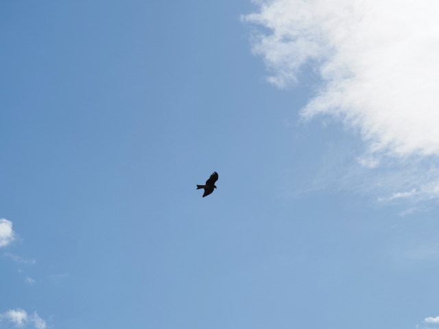 勢田川に架かる勢田川橋にて