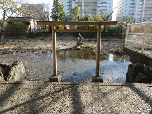 干上がってしまった朧ヶ池(船江上社)