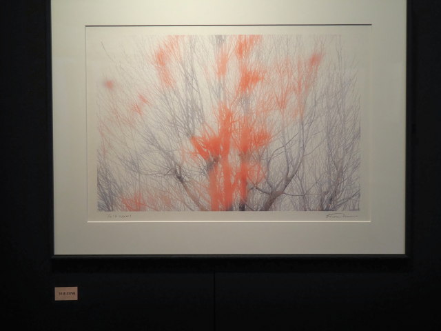 三輪薫 写真展「風の香り-Ⅱ」