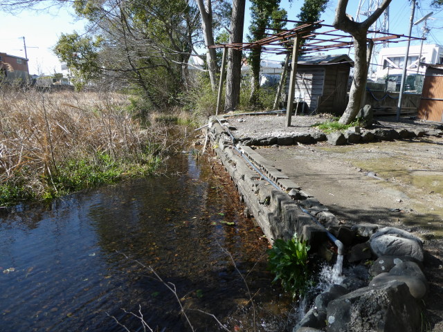 ポンプ小屋から引かれた地下水が汲み入れられる朧ヶ池（船江上社）