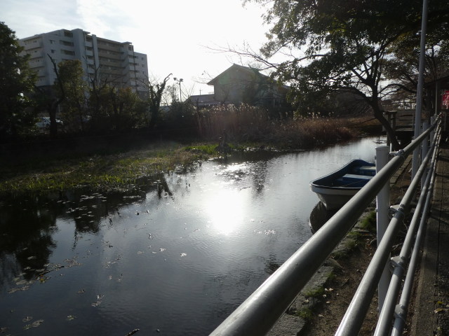 満水に近い朧ヶ池(船江上社)