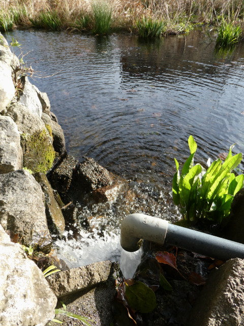 今も地下水が汲み入れられる朧ヶ池(船江上社)