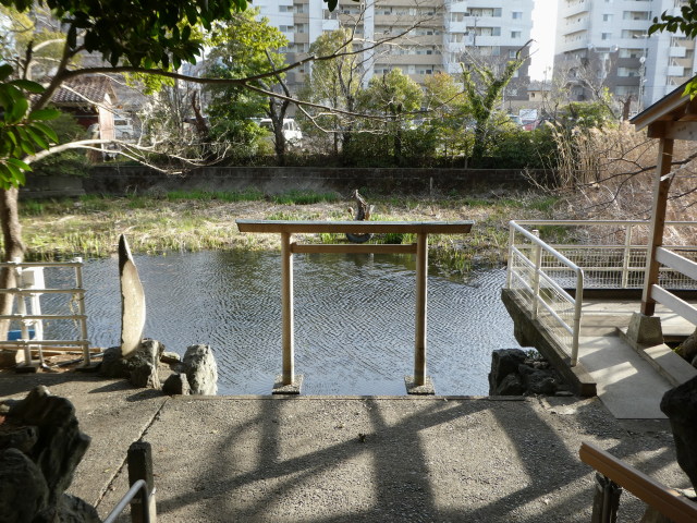 満水に近い朧ヶ池(船江上社)