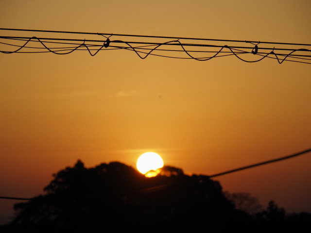 河原神社の社叢からの日の出