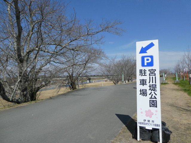 宮川堤(右岸 度会橋上流側)
