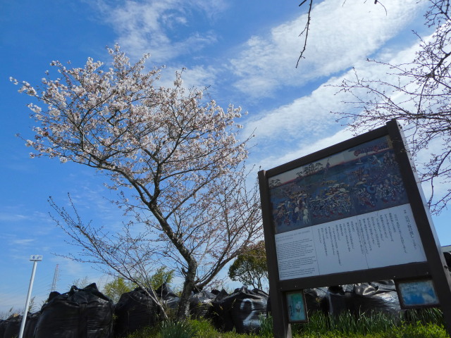 宮川・桜の渡し説明板付近