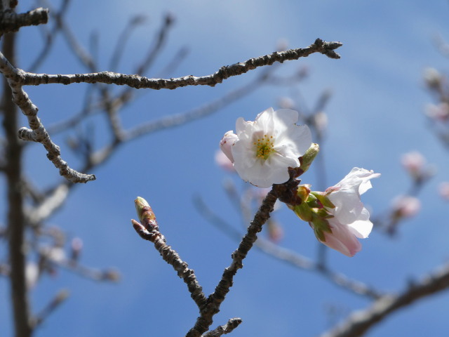 宮川右岸堤防道路にて(ラブリバー公園付近)