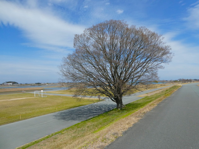 宮川右岸堤防道路にて(ラブリバー公園付近)